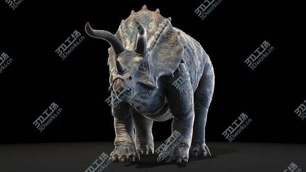 images/goods_img/20210312/3D Triceratops/5.jpg